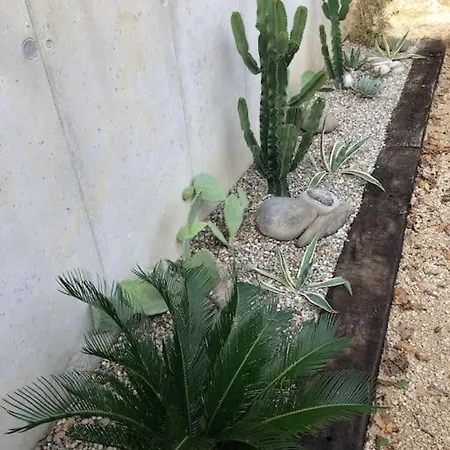 Maison Garrigue Avec Piscine 4*
